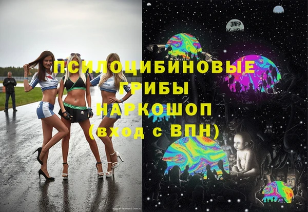 эйфоретик Горняк