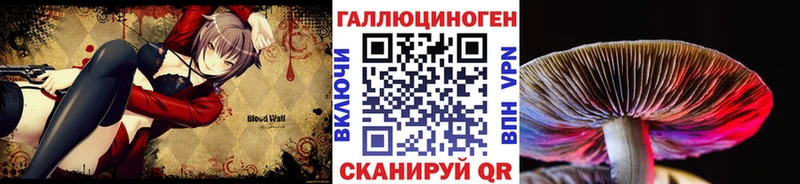 Псилоцибиновые грибы Psilocybine cubensis Нея