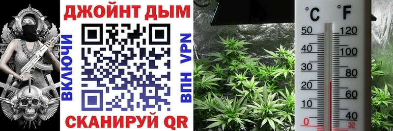 купить закладку Нея Бошки Шишки гибрид